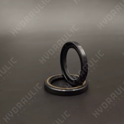 28,56*39*4,8 NS01W NBR [BAHD]